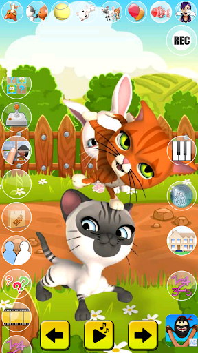 Talking Cat and Bunny Talking Cat and Bunny